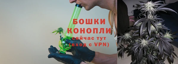 шишки Армянск