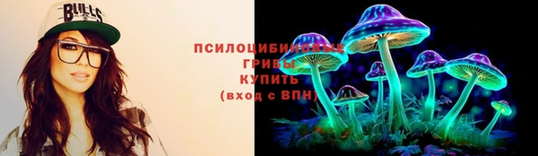 шишки Армянск