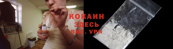 шишки Армянск