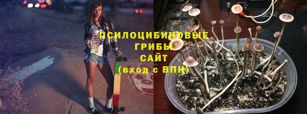 соль ск Аркадак